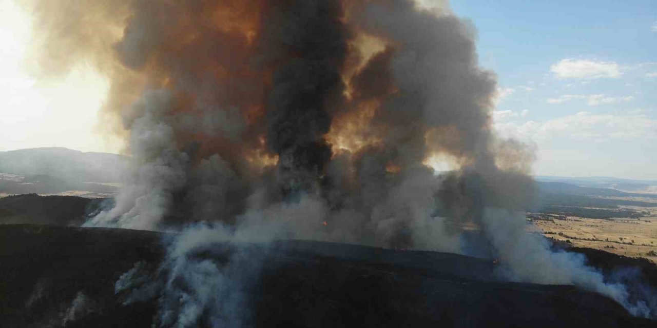 Eskişehir’de çıkan orman yangınına havadan müdahale devam ediyor