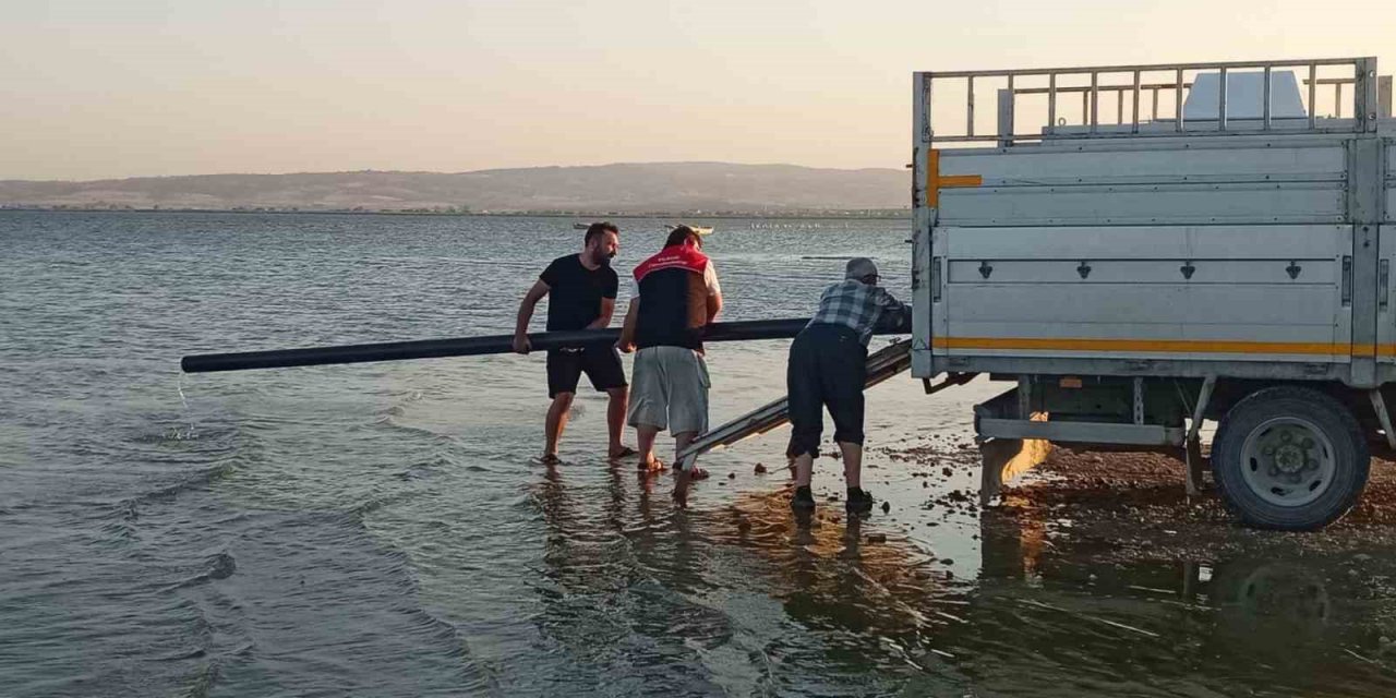 Manyas gölüne sazan balığı yavruları salındı