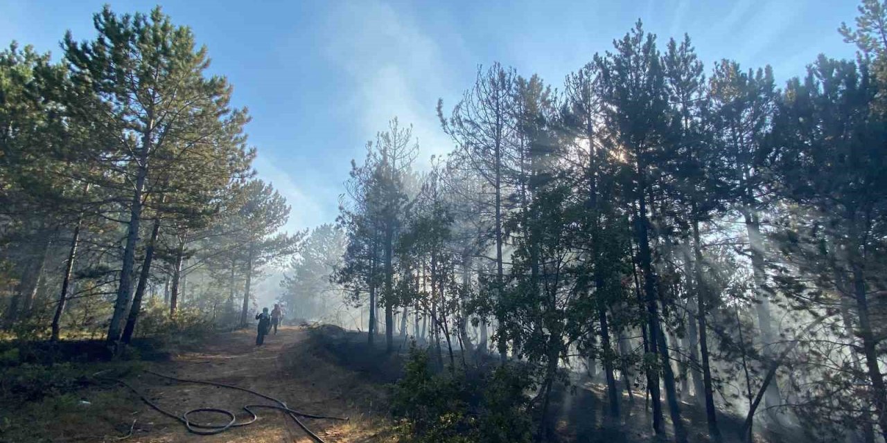 Kastamonu’da orman yangını