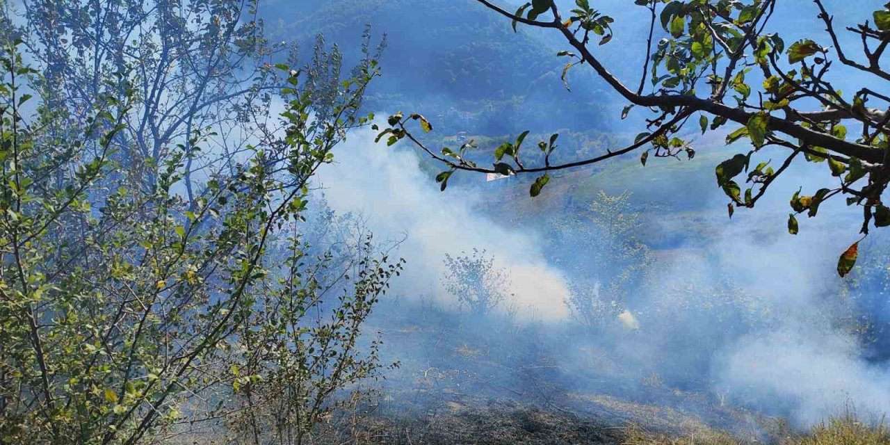 Türkeli’de çıkan anız yangını korkuttu