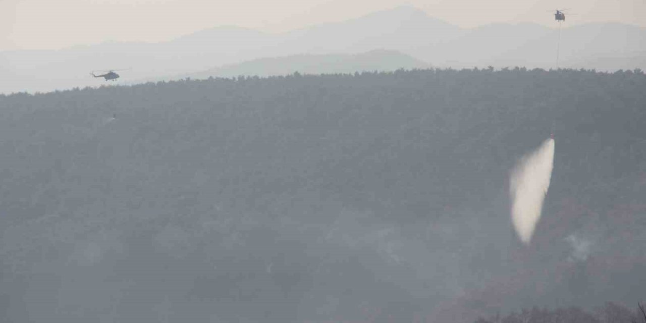 Yangına havadan güçlü müdahale devam ediyor