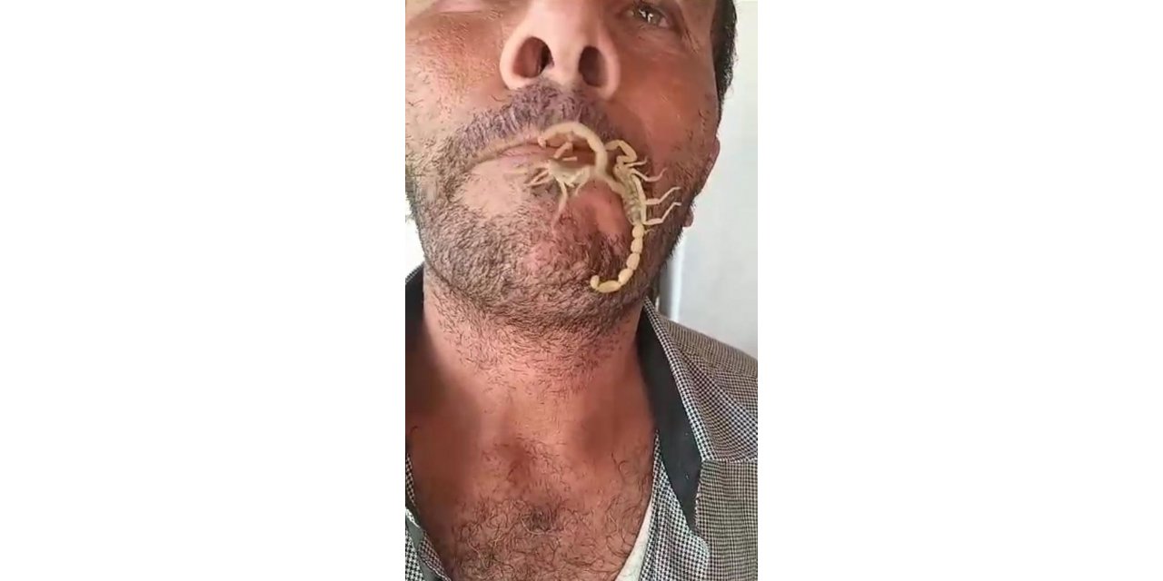 Akreplere kendini sokturdu, ‘Hayvan sevgisi’ dedi