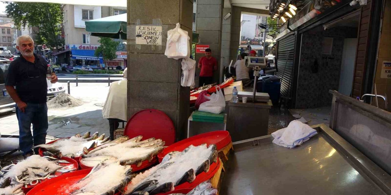 Balıkçı esnafının gözü çingene palamutundaydı ama...