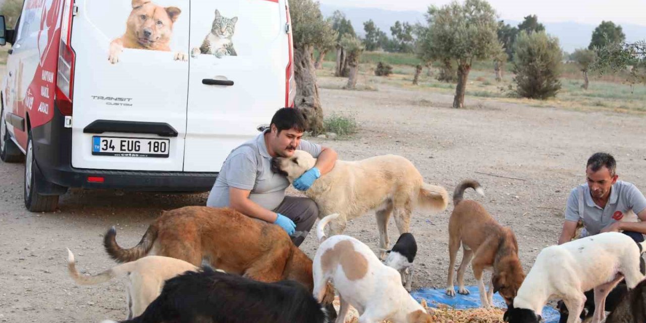 Efeler can dostlarını besliyor, israfı önlüyor