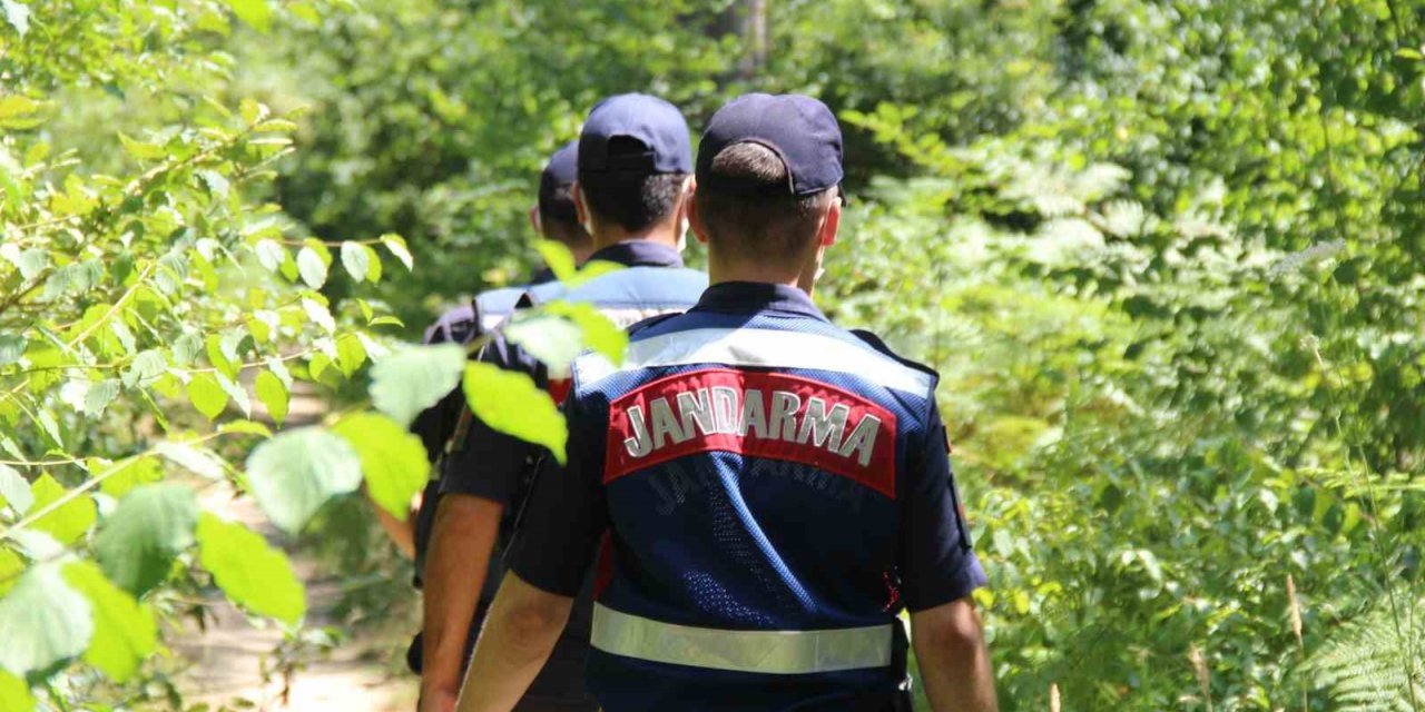 Kocaeli’de ormanlara girmek yasaklandı