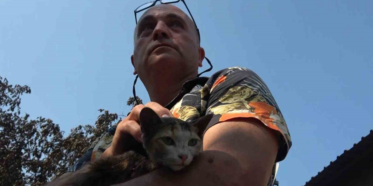 Çanakkale yangını en çok onu vurdu... 20 yıllık emekleri küle döndü göz yaşları sel oldu