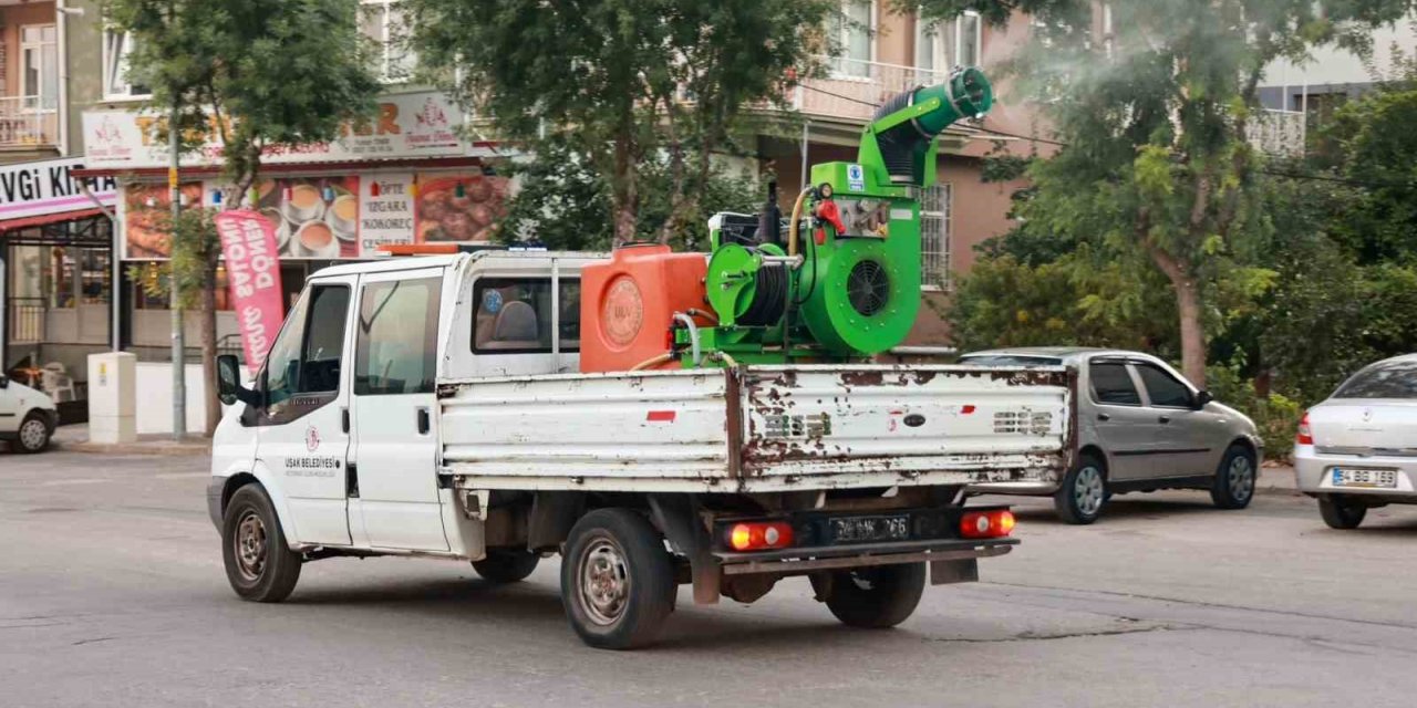 Uşak Belediyesinin ilaçlama çalışmaları hız kesmeden devam ediyor