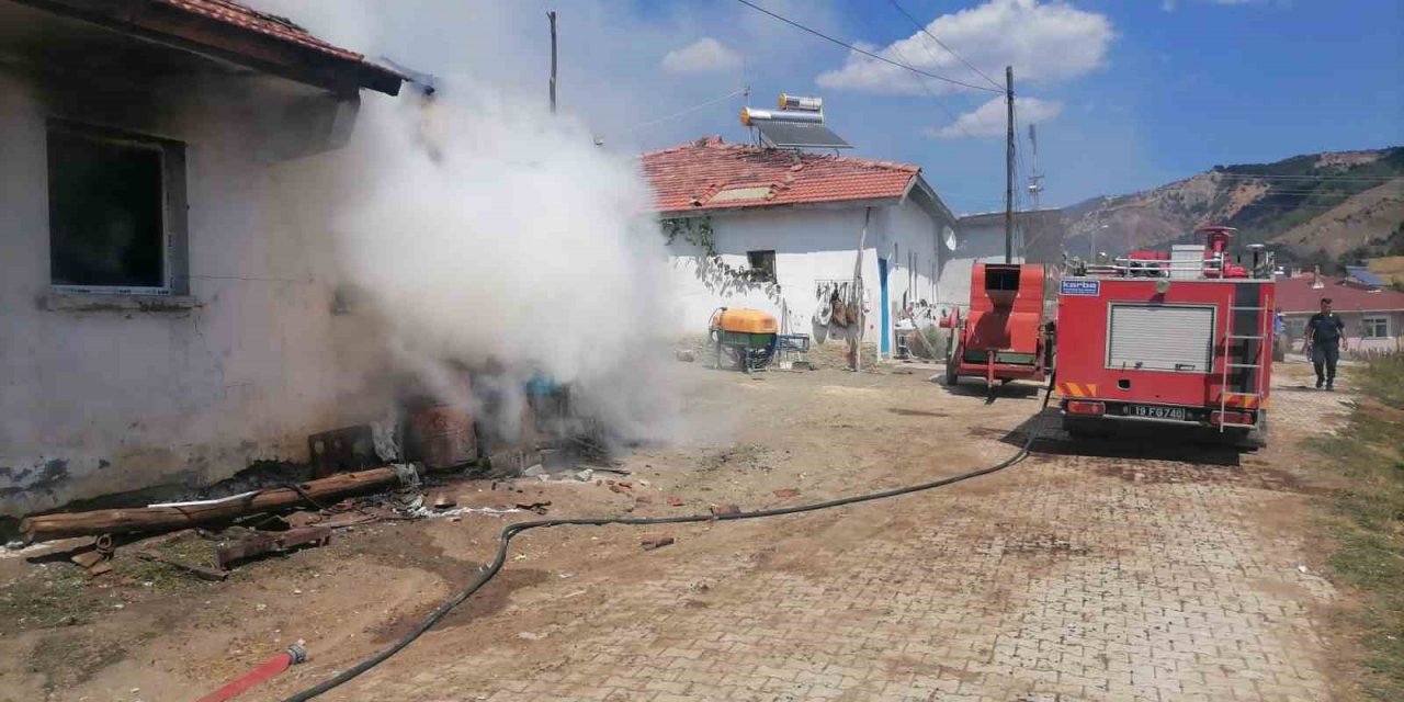 Patlayan mutfak tüpü yangın çıkarttı