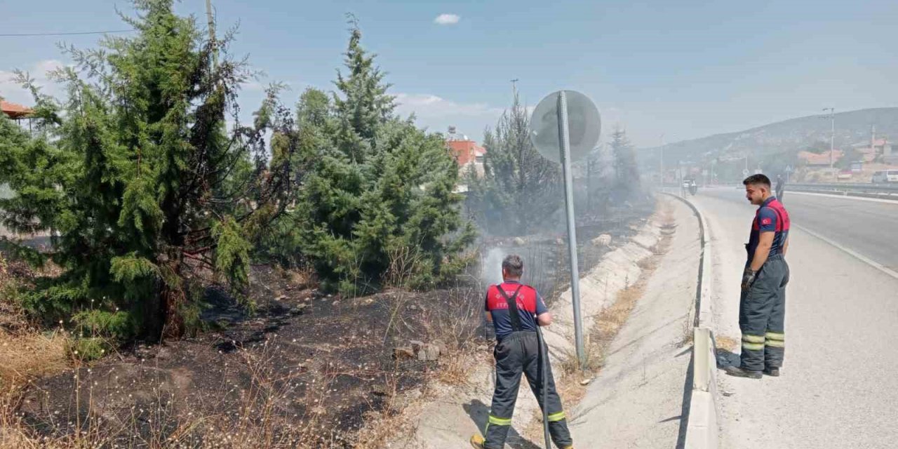 Araçtan atılan sigara izmariti yangına sebep oldu