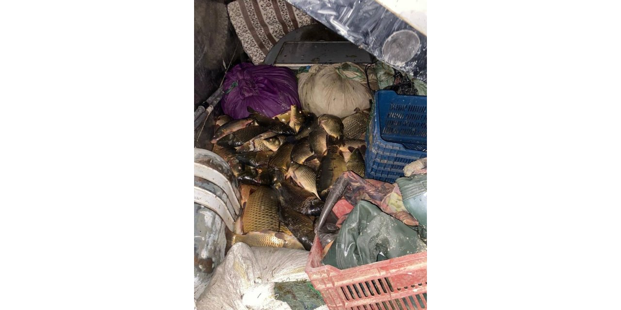 Kaçak balık avcılarına suçüstü baskın