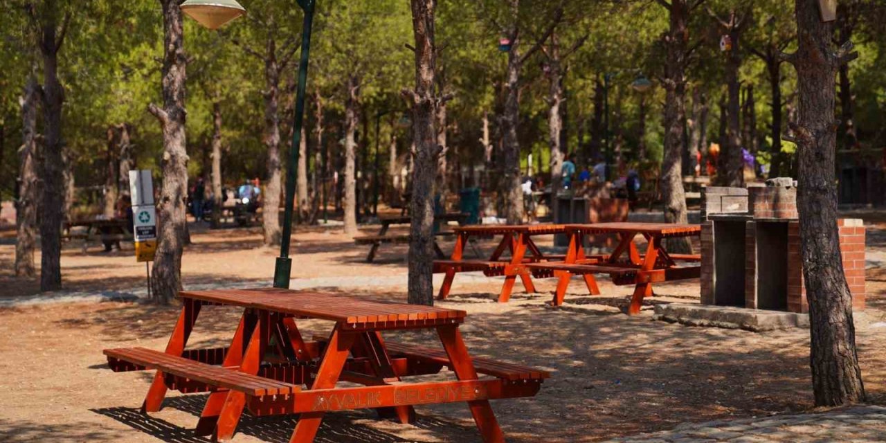 Ayvalık’ta mesire alanındaki ahşap oturma grupları yenileniyor