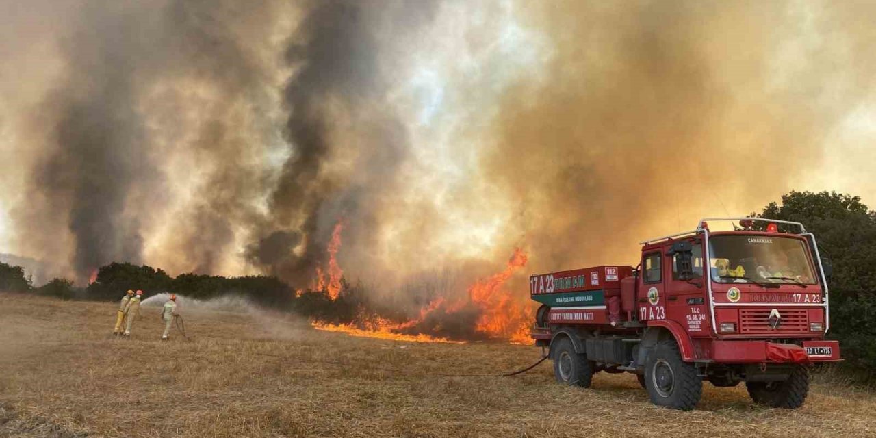 Çanakkale’de ağaçlık alanda yangın