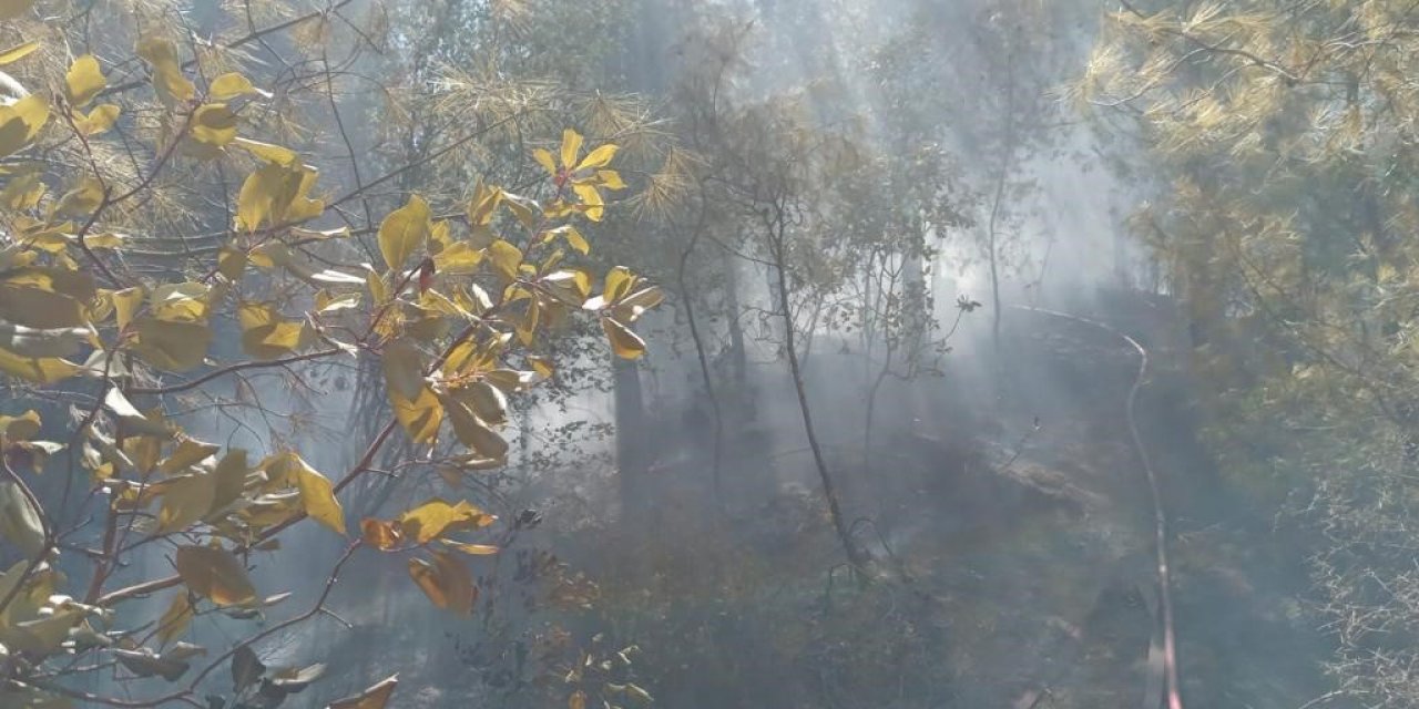Hatay’da orman yangını büyümeden söndürüldü