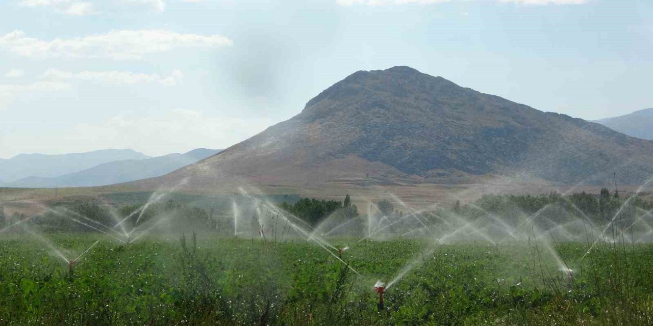 Coğrafi İşaretli Tufanbeyli Fasulyesi eken çiftçilerin zorlu mücadelesi