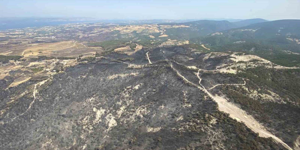 Çanakkale’deki orman yangınlarında 5 bin 712 futbol sahası büyüklüğünde alan yandı