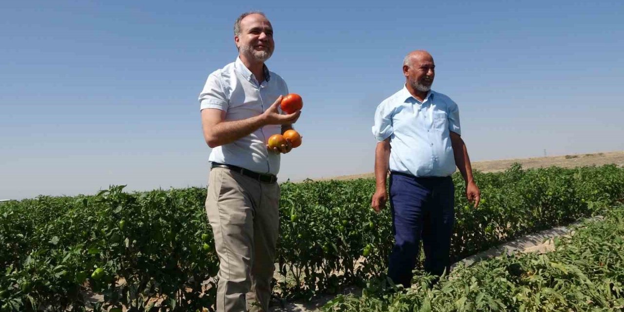 Besi çiftliği değil üniversite