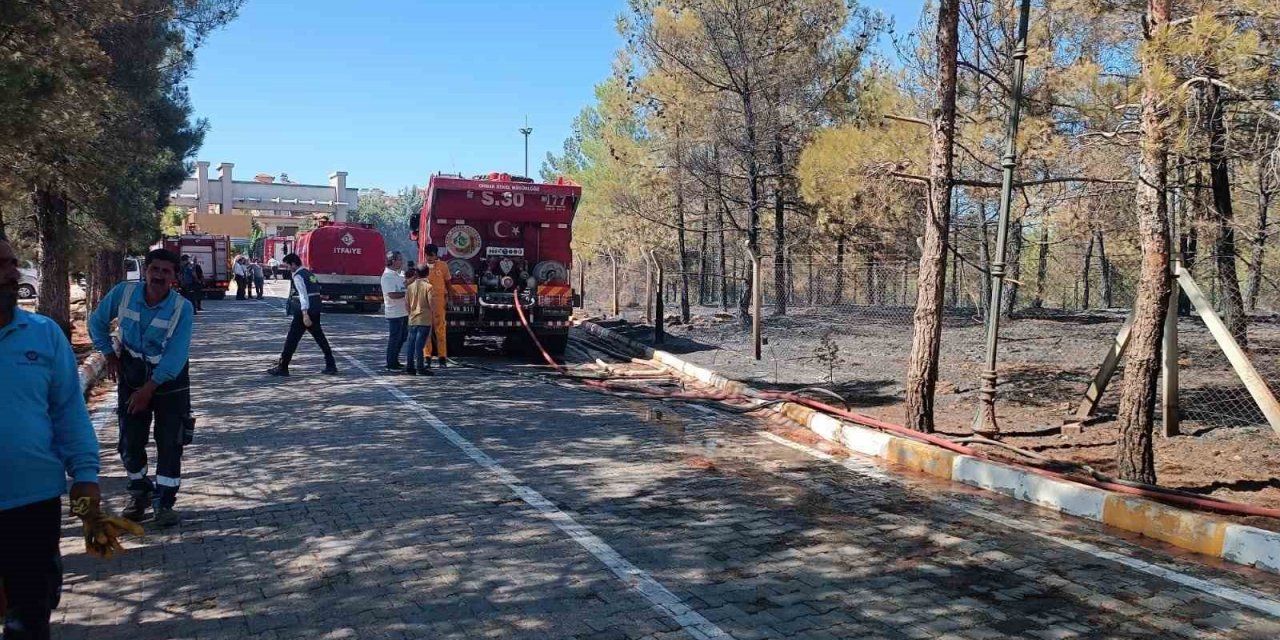 Gaziantep’te orman yangını