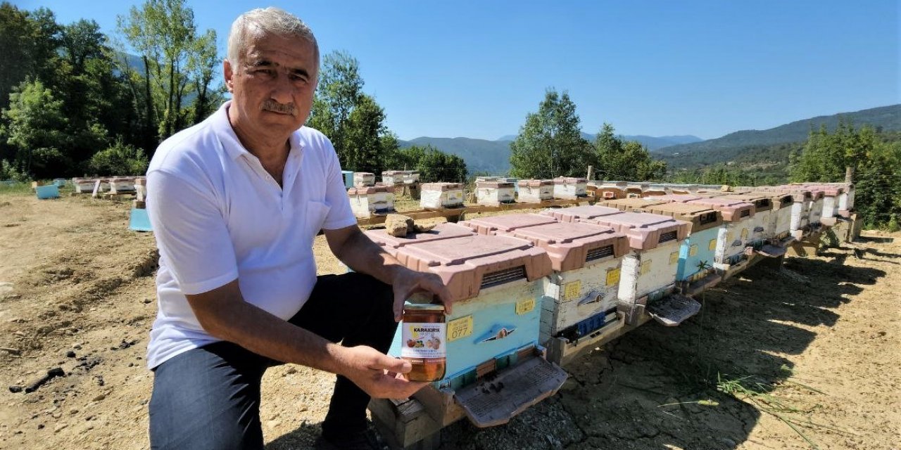 36 yıllık ilçenin ilk coğrafi işaretli ürünü ‘Yenice Ihlamur Balı’ oldu