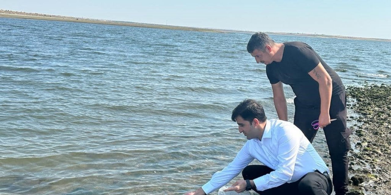 Enez ve İpsala’da 410 bin yavru sazan su ile buluştu