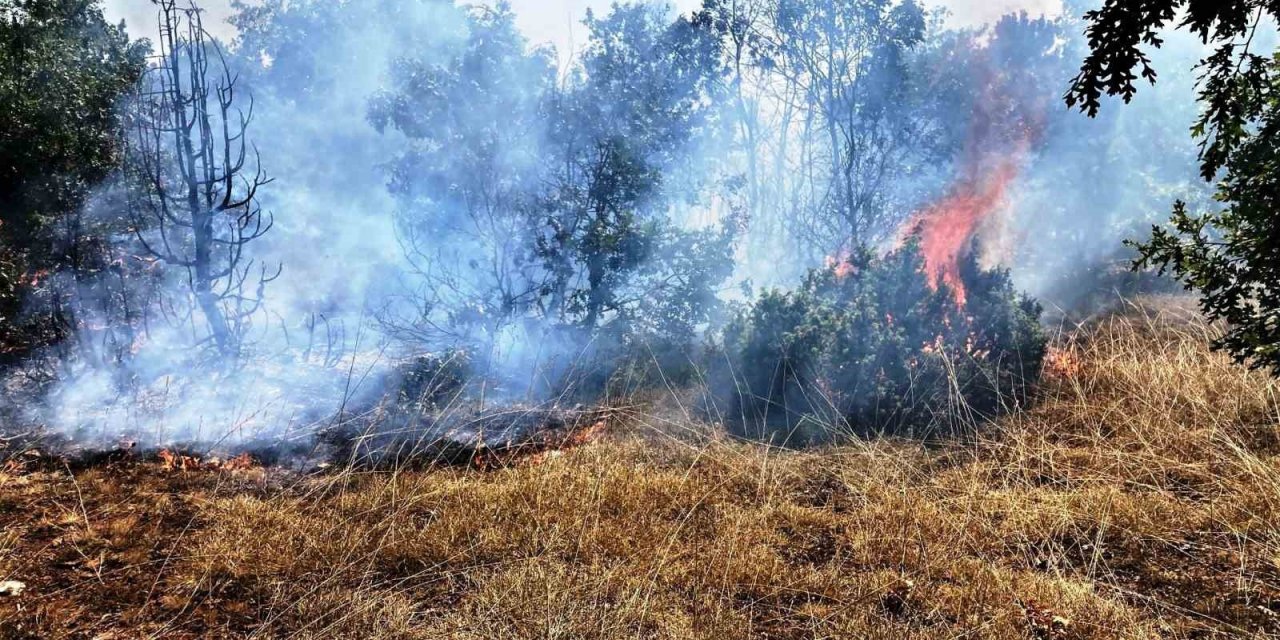 Kütahya ile Emet ve Simav ilçelerinde çıkan yangınlar kontrol altına alındı