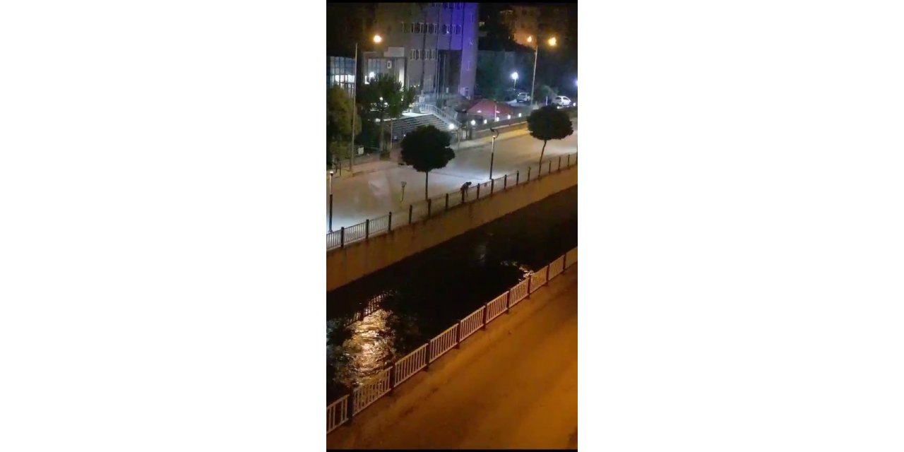 Kızılırmak’tan kovalarla su çekerek ağaçları suladı