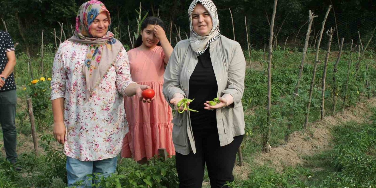 Ata tohum ile yerel çeşitler korunuyor