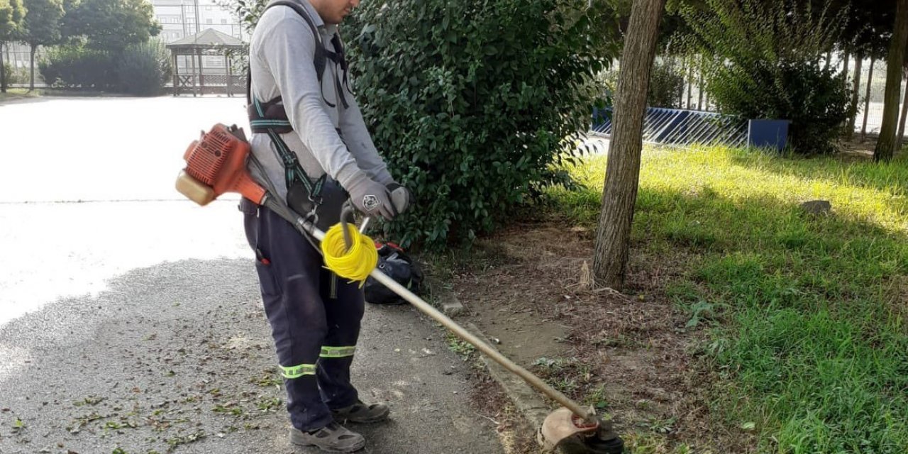Körfez yabani otlardan temizleniyor