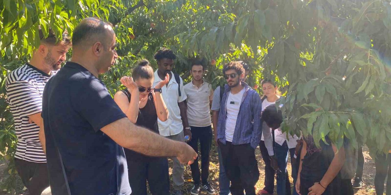 TOGÜ’den Şeftali Üreticilerine Bilgilendirme