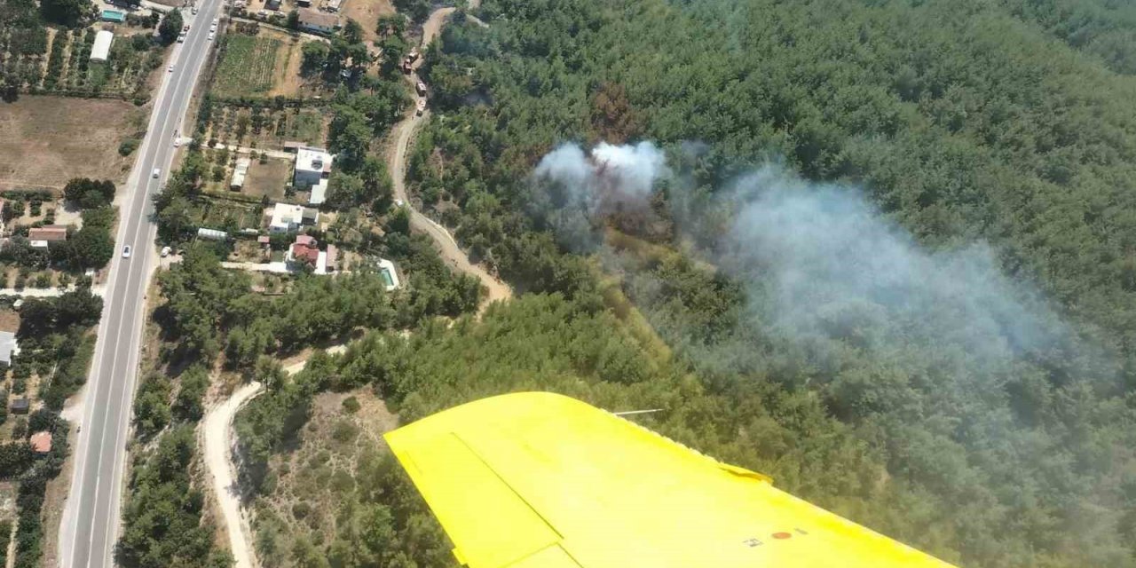 İzmir’de orman yangını büyümeden söndürüldü