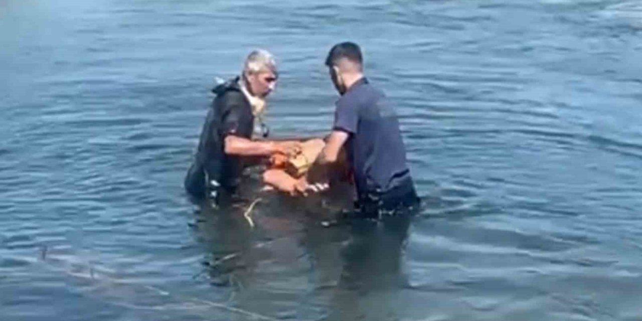 Kızılırmak’a serinlemek için giren genç az kalsın canından oluyordu