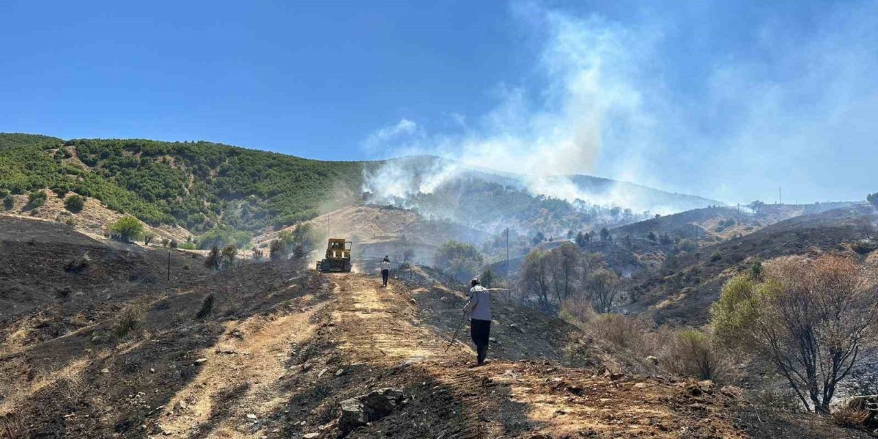 Bingöl’de çıkan orman yangını kontrol altına alındı