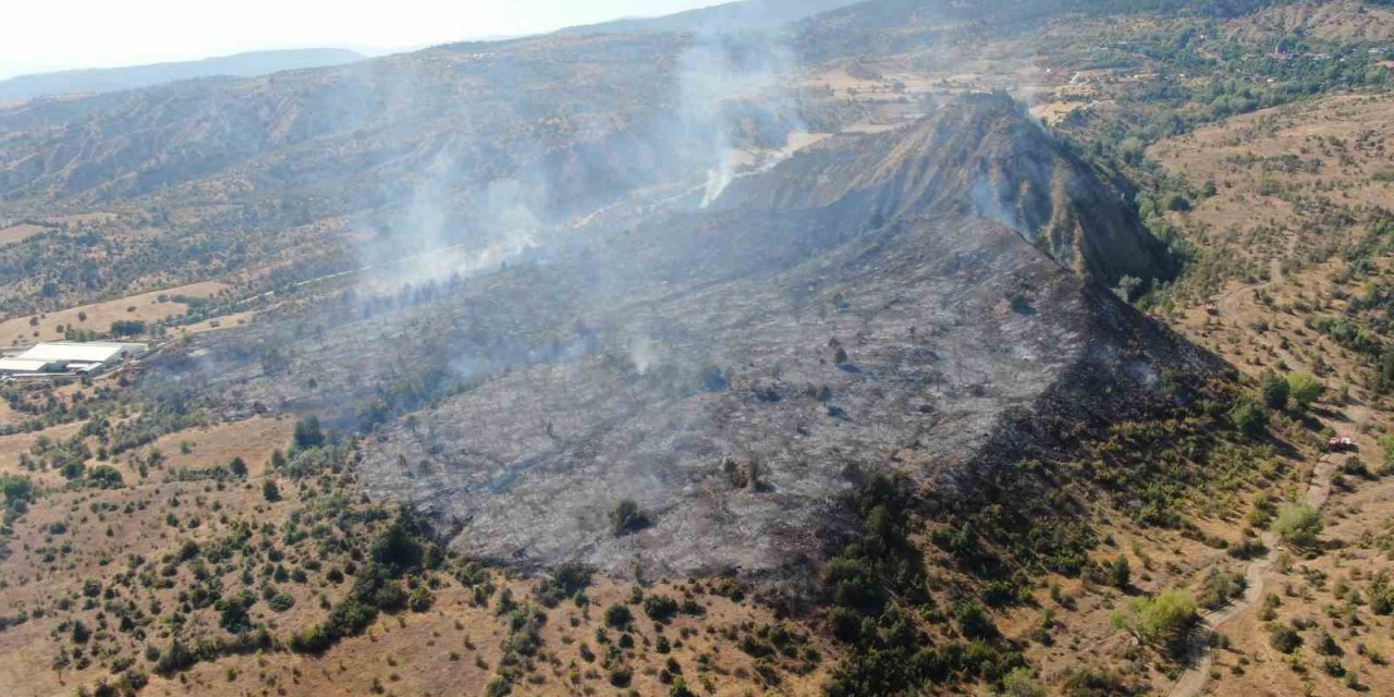Ilgaz Dağı’ndaki orman yangını kontrol altına alındı: 15 hektar alan küle döndü
