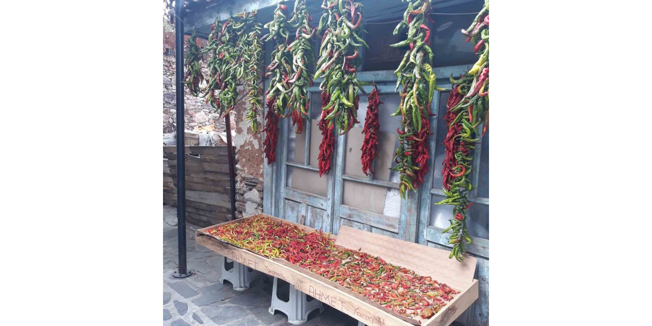 Karacasu’da tarihi semerciler arastası rengarenk oldu