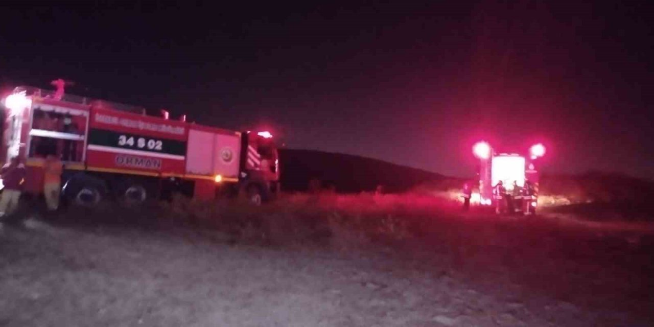 Maltepe’de çıkan orman yangını kontrol altına alındı, 3 hektar alan zarar gördü