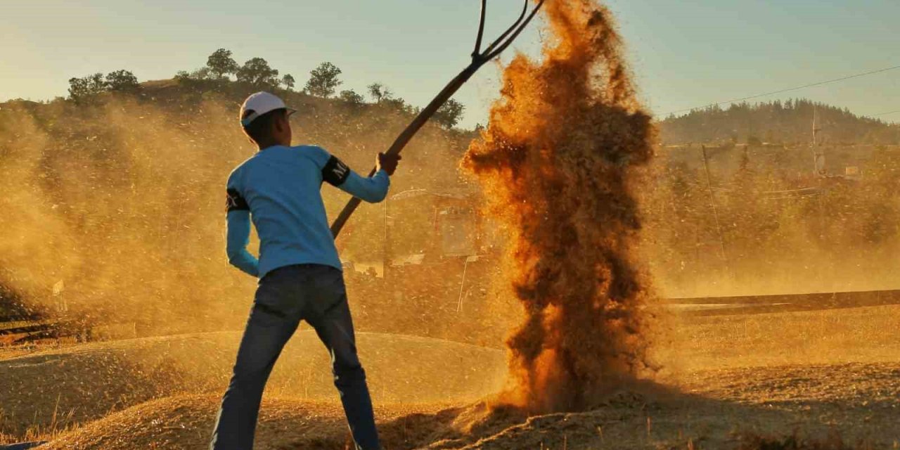 Kahramanmaraş’ta buğday hasadı hem geleneksel hem de teknolojik yöntemlerle başladı