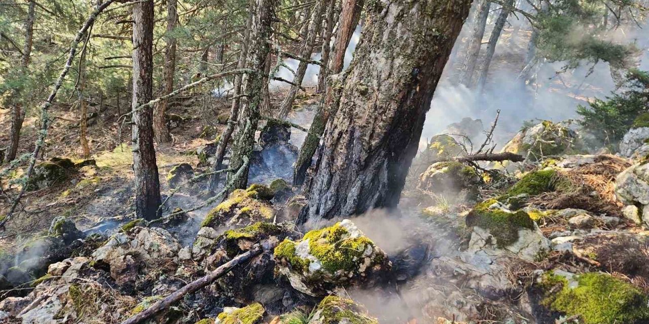 Spil Dağı’na düşen yıldırım orman yangını çıkardı