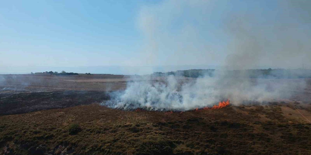 Sinop’ta makilik alanda yangın
