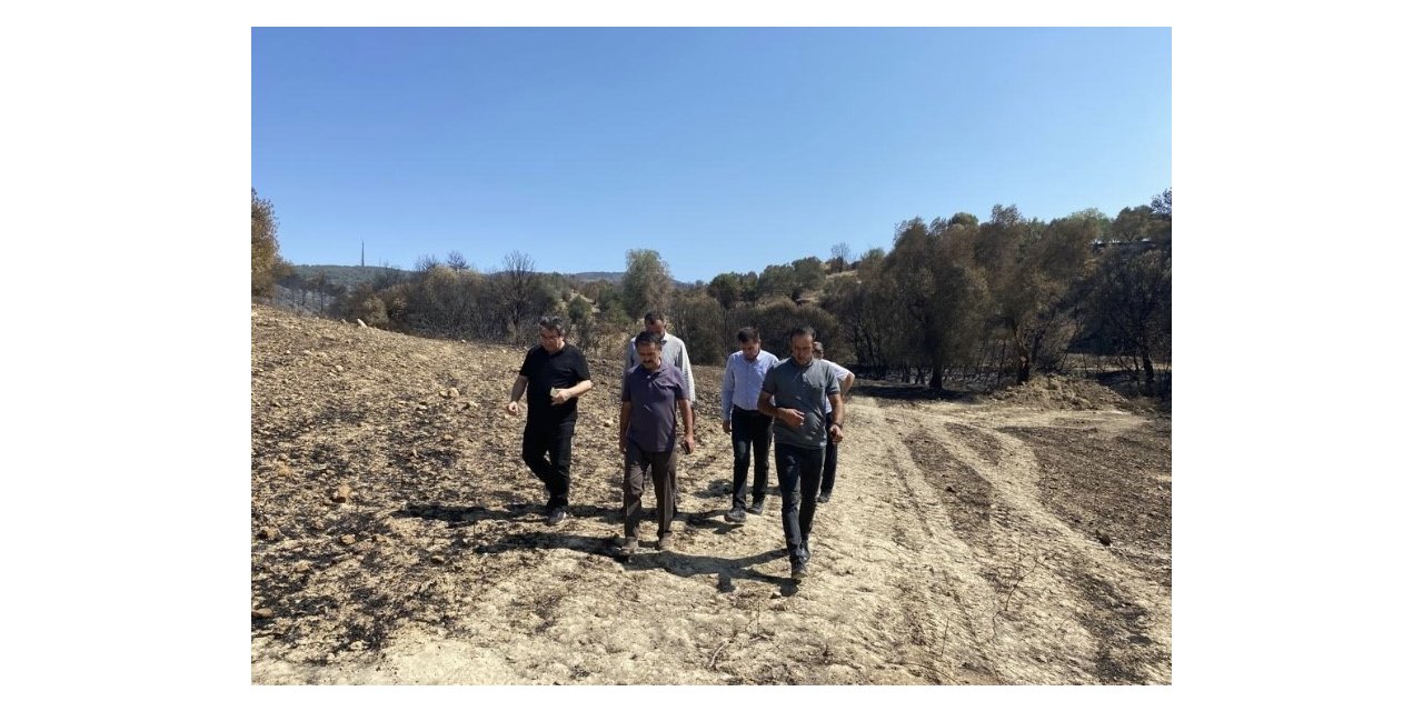 Vali İlhami Aktaş, yangından etkilenen köylerde incelemelerde bulundu