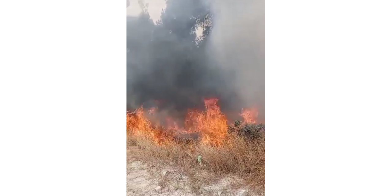 Buldan’da çıkan yangın, ormana sıçramadan söndürüldü