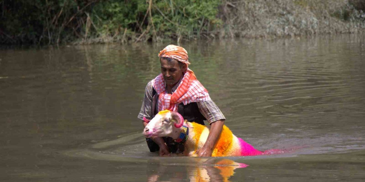 Sudan Koyun Geçirme Yarışması renkli görüntülere sahne oldu