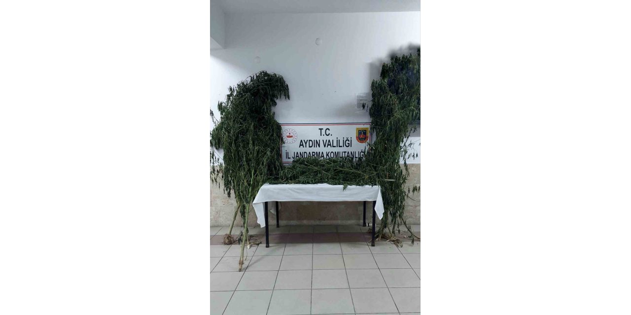 Nazilli’de uyuşturucu operasyonu