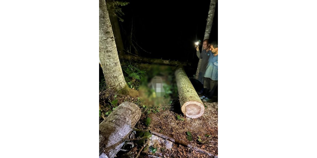 Kestiği ağacın altında kalan orman işçisi hayatını kaybetti