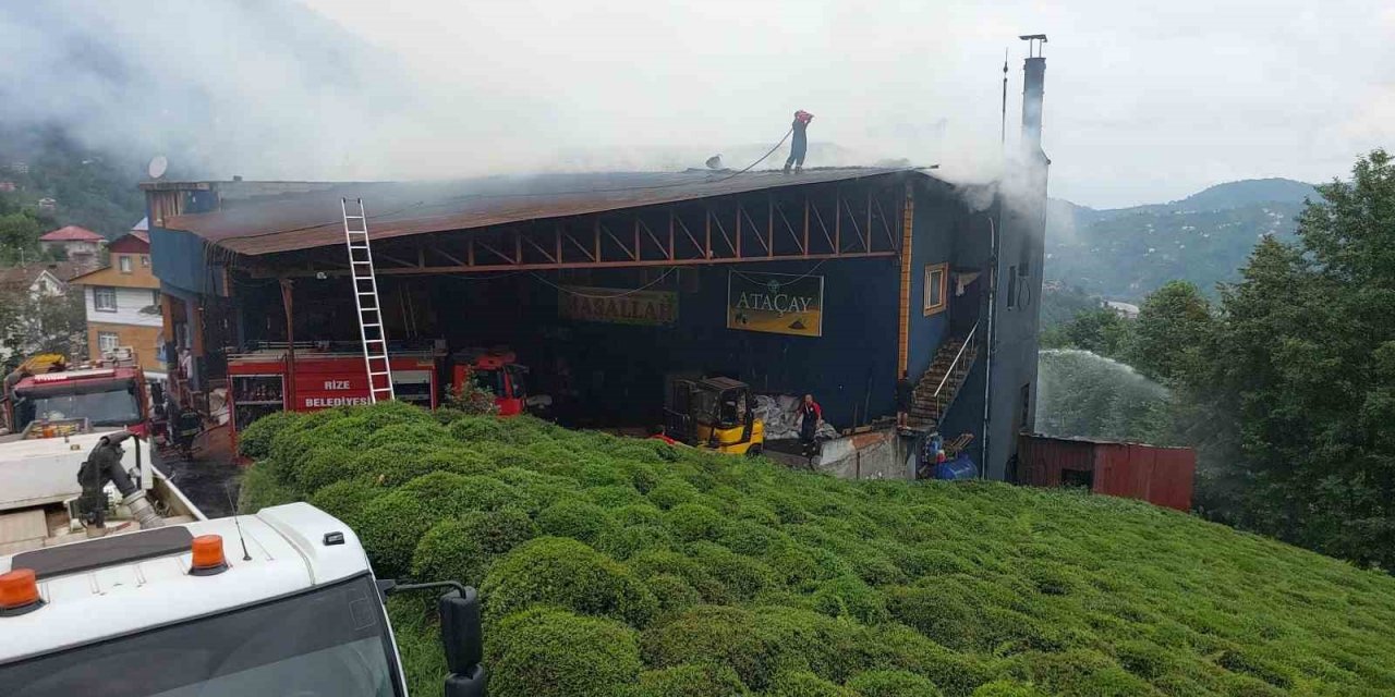 Rize’de çay fabrikasında yangın çıktı