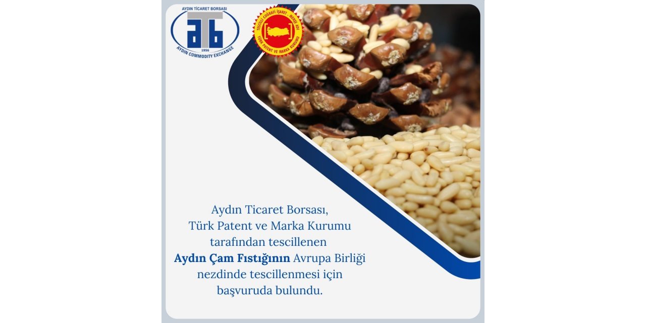 Aydın Ticaret Borsası tarafından tescillenen Aydın Çam Fıstığı, AB yolunda