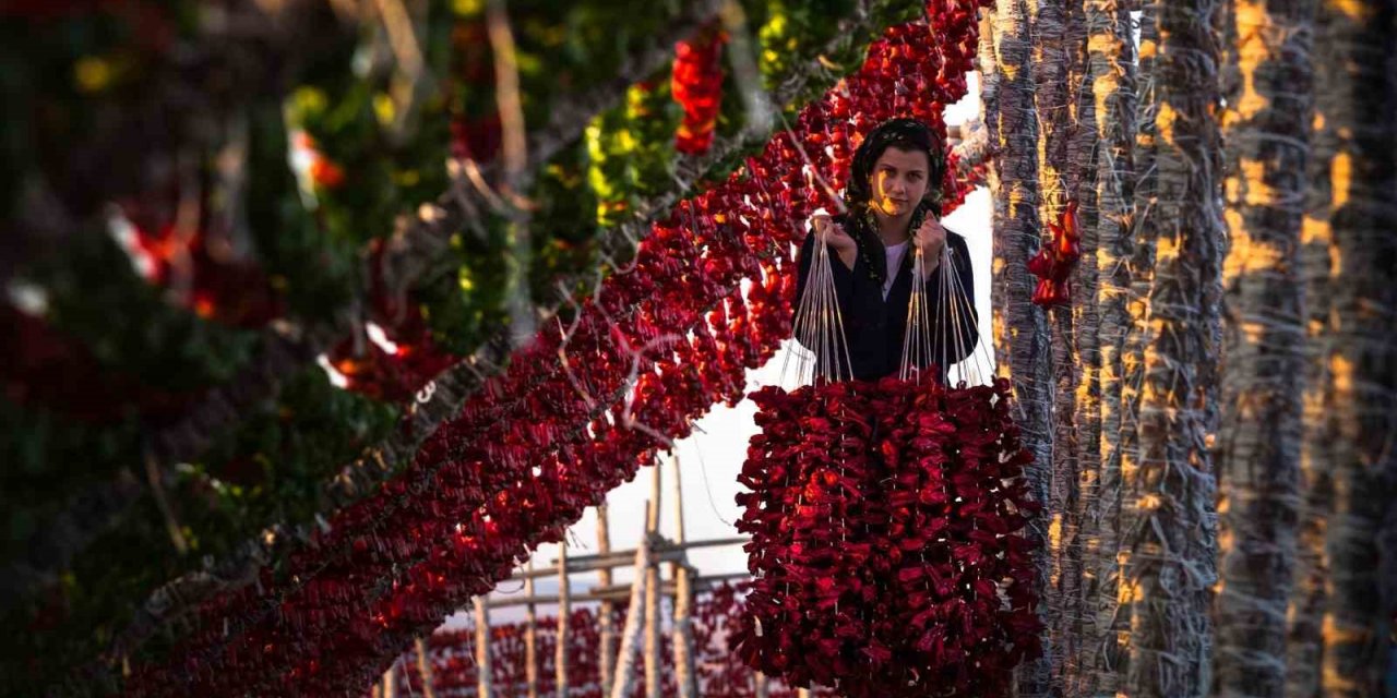 Gaziantep’in asırlık lezzetleri kurutmalıklar dünya mutfaklarında