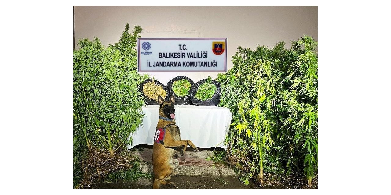 Balıkesir’de organize suç operasyonu: 36 gözaltı