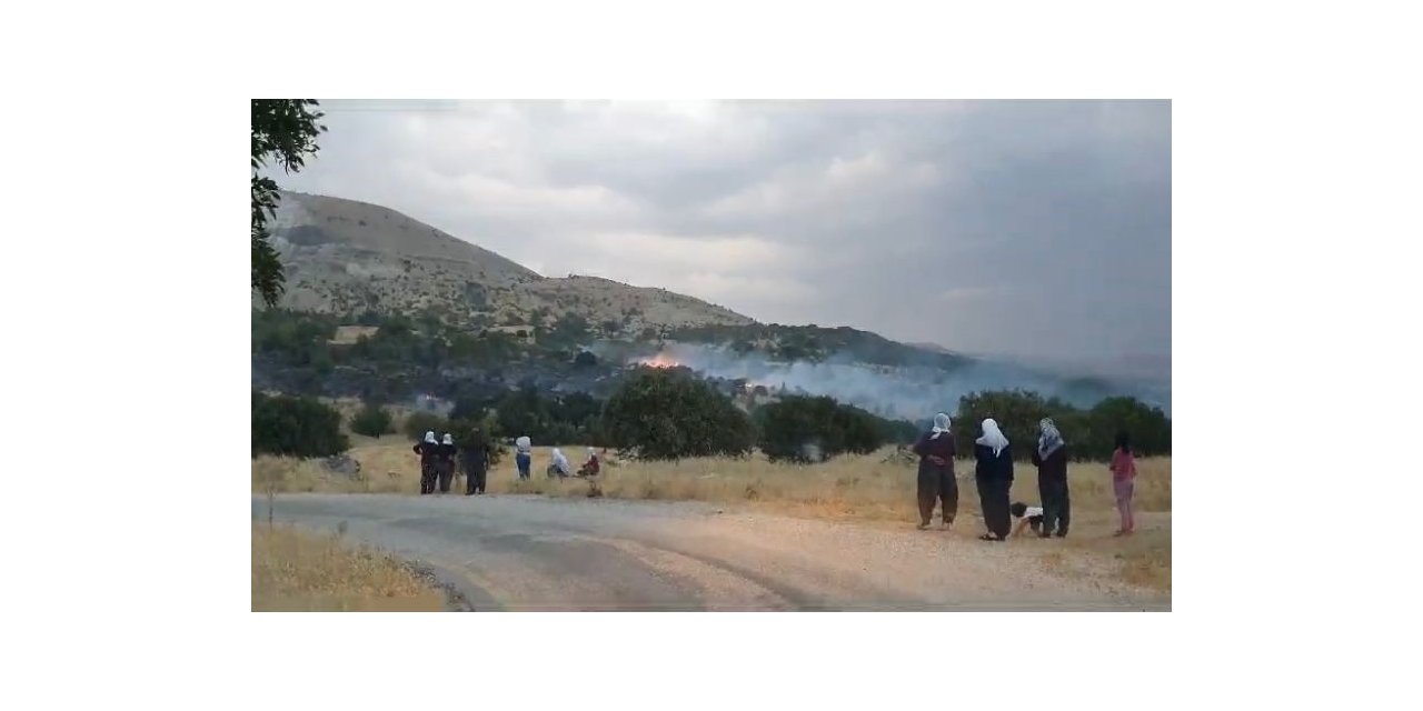 Elazığ’da düşen yıldırım otluk alanları yaktı