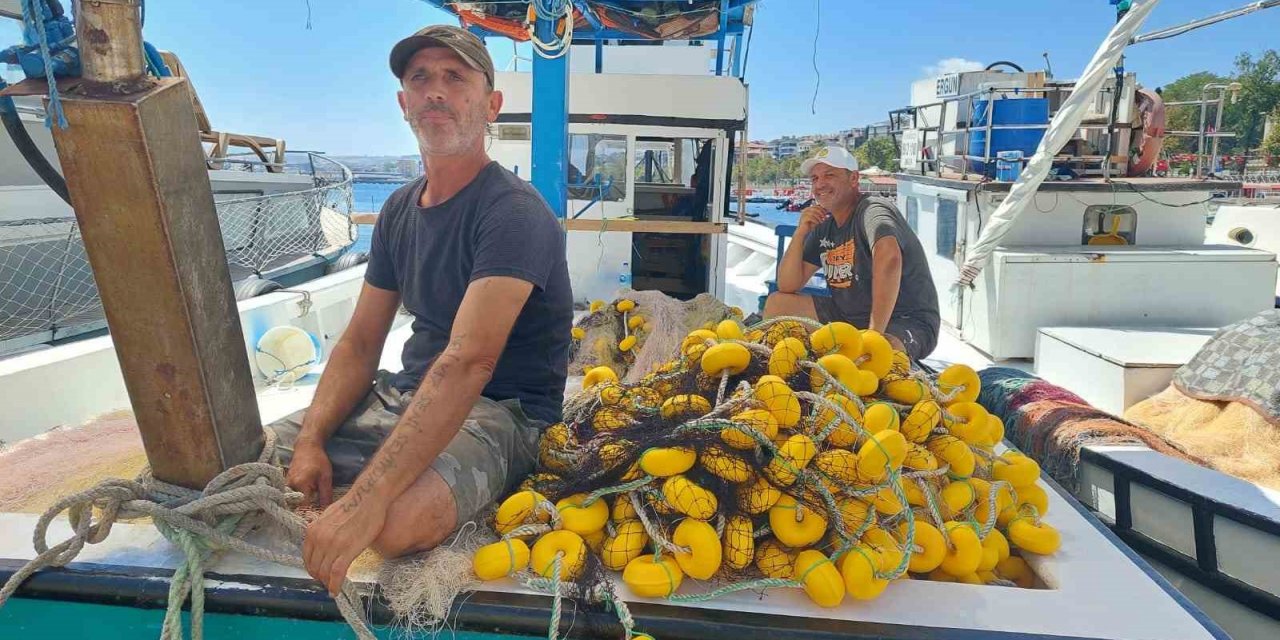 Av yasağı kalkıyor: Palamuttan haber yok