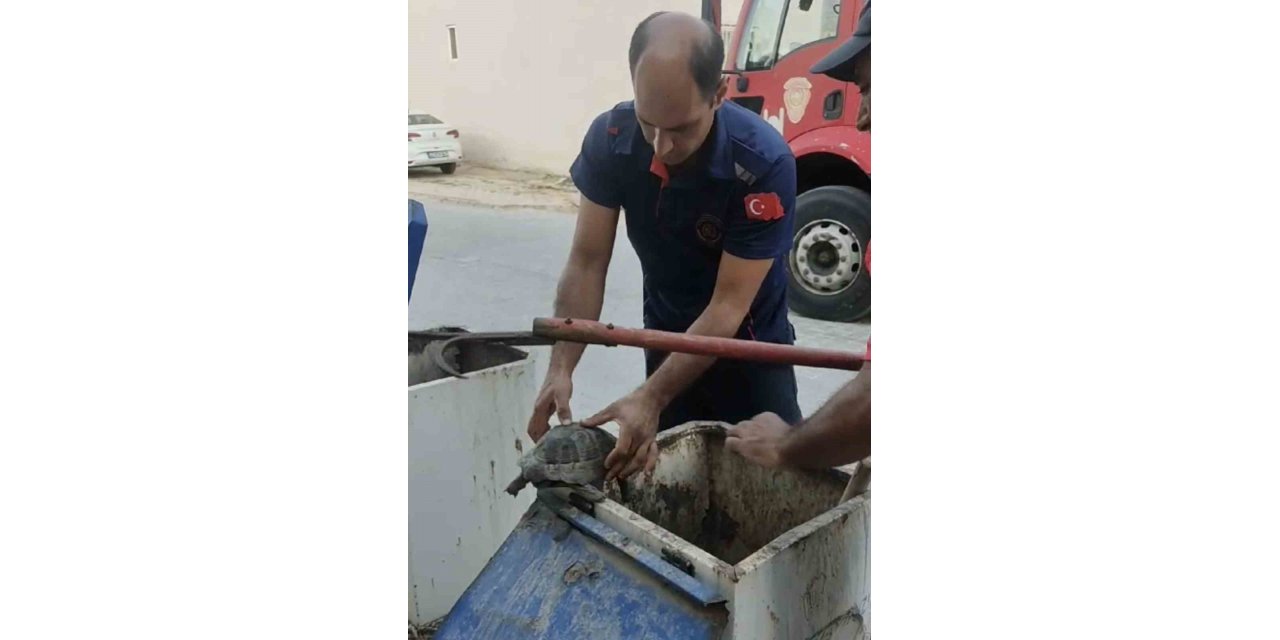 Yeraltı çöp konteynerine atılan kaplumbağayı itfaiye ekipleri kurtardı