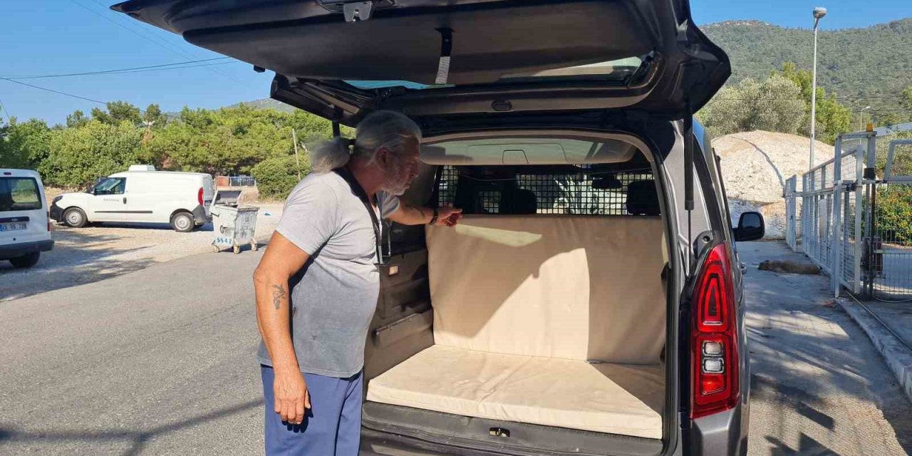 Kedi camı kafasıyla kırıp kaçtı